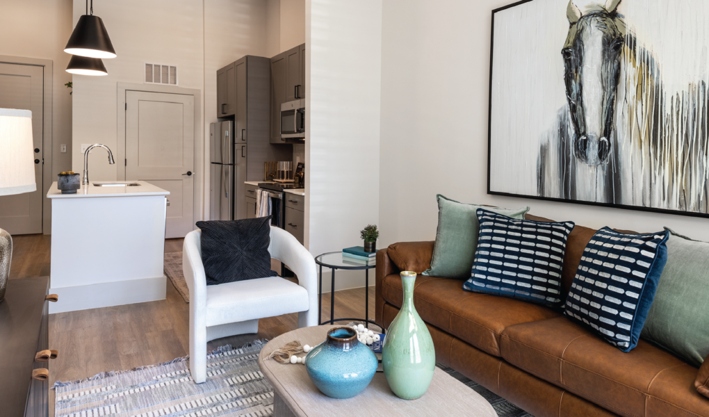 Living Room and Kitchen Area